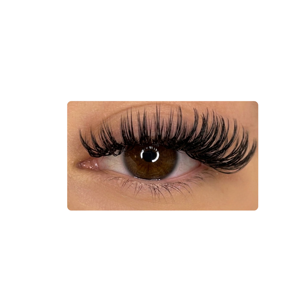 702 211 Cosmetics